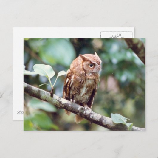 Screenshot Postkarte (Vorne/Hinten)