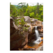 Screw Auger Falls, Maine Fotodruck (Vorne)
