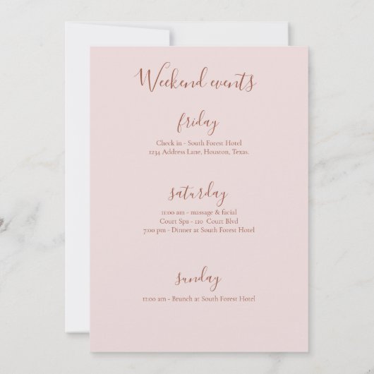 Script Calligraphy Terracotta Junggeselinnen-Absch Einladung (Rückseite)