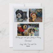 Script Frohe Weihnachten Fotokarte (Rückseite)