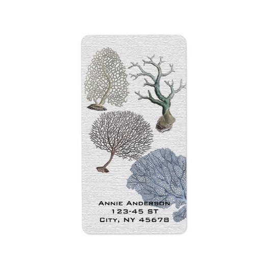 Scripts Nautical Beach Coral Reef Adressaufkleber (Vorne)