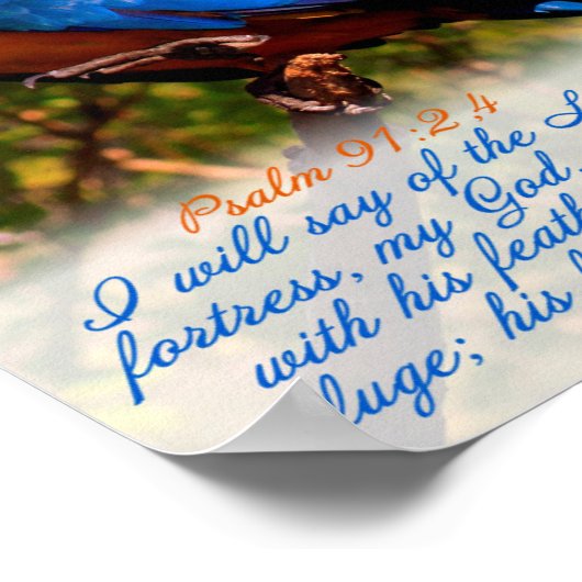 Scripture print: Psalm 91:2,4 with Blue Macaw Poster (Ecke)