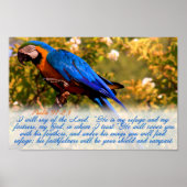 Scripture print: Psalm 91:2,4 with Blue Macaw Poster (Vorne)