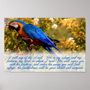 Scripture print: Psalm 91:2,4 with Blue Macaw Poster