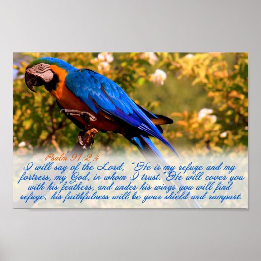 Scripture print: Psalm 91:2,4 with Blue Macaw Poster (Vorne)