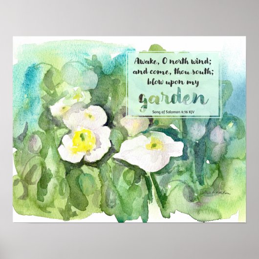Scripture Song of Solomon White Poppies  Poster (Vorne)