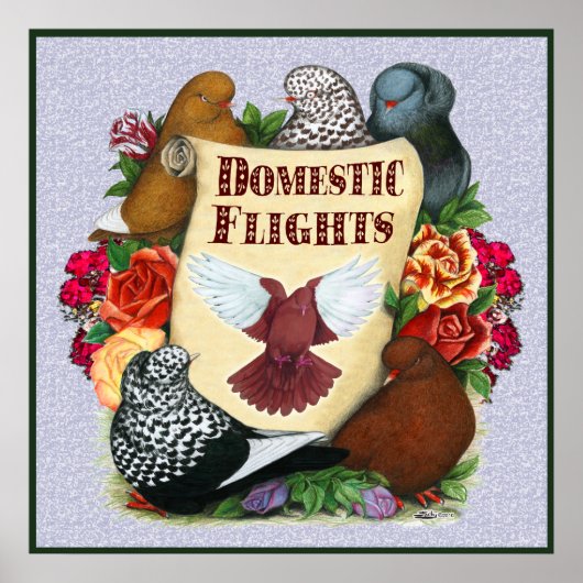 Scroll im Inlandsflug Poster (Vorne)