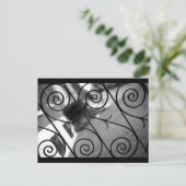 Scroll Race Postkarte (Stehend Vorderseite)