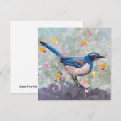 Scrub Jay (Vorne/Hinten)