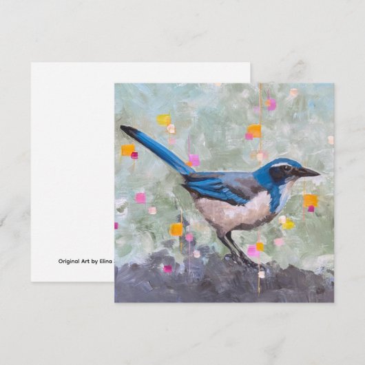 Scrub Jay (Vorne/Hinten)