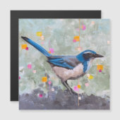 Scrub Jay Magnetkarte (Vorne/Hinten)