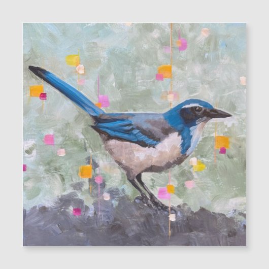 Scrub Jay Magnetkarte (Vorderseite)