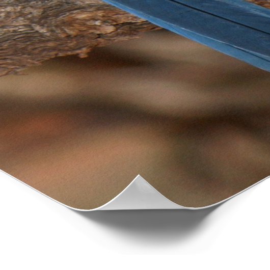 Scrub Jay Poster (Ecke)