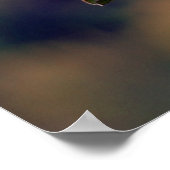 Scrub Jay Poster (Ecke)