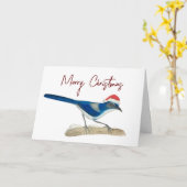 Scrub Jay Weihnachten Karte (Gelbe Blume)