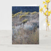 Scrub Karte (Gelbe Blume)