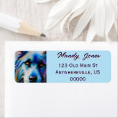 SCRUFFY BLUE TERRIER DOG CLOSE UP (Insitu)