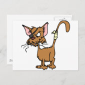 Scruffy Cat Postkarte (Vorne/Hinten)