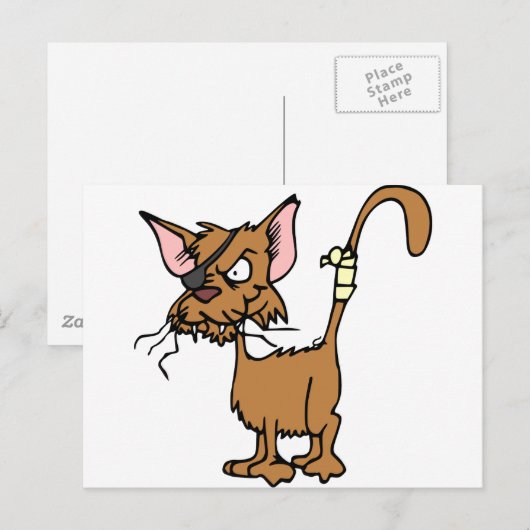 Scruffy Cat Postkarte (Vorne/Hinten)