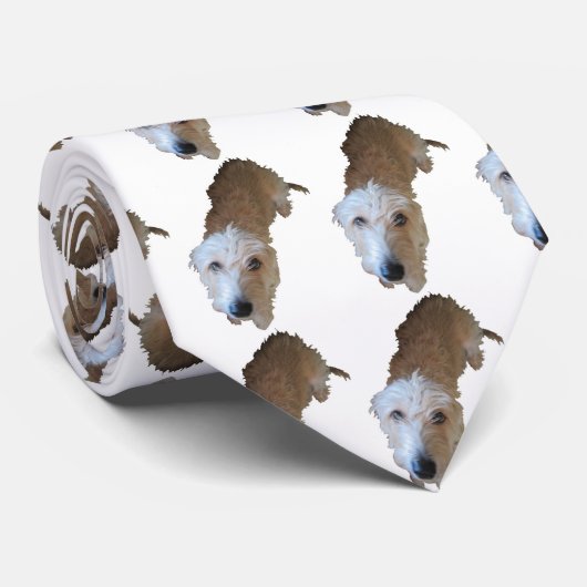 Scruffy Dackel Hunde Krawatte (Gerollt)