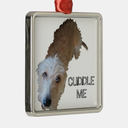 Scruffy Hund "CUDDLE ME" Ornament (Rechts)