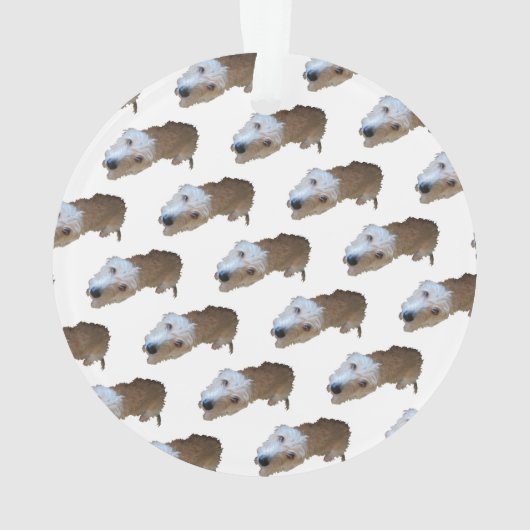 Scruffy Hunde Ornament (Rückseite)