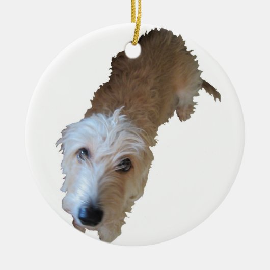 Scruffy Hunde Ornament (Vorne)