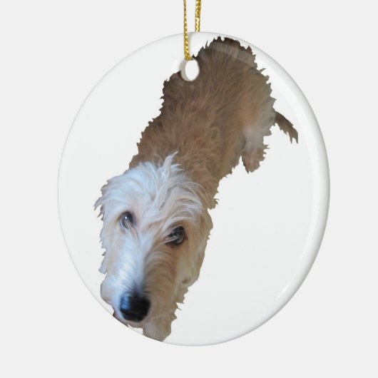 Scruffy Hunde Ornament (Links)