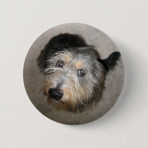 Scruffy niedlich Hund Abzeichen Button