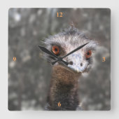 Scruffy Ole Bird, Emu. Quadratische Wanduhr (Vorderseite)