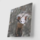 Scruffy Ole Bird, Emu. Quadratische Wanduhr (Winkel)