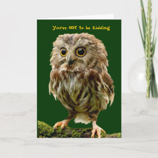 Scruffy Owl Geburtstagskarte Karte
