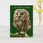 Scruffy Owl Geburtstagskarte Karte (Gelbe Blume)