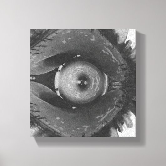 Scrunched Chicago Eye Leinwanddruck (Vorderseite)