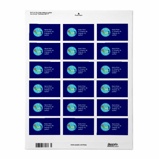 Scuba Diver Adressaufkleber (Vorne)