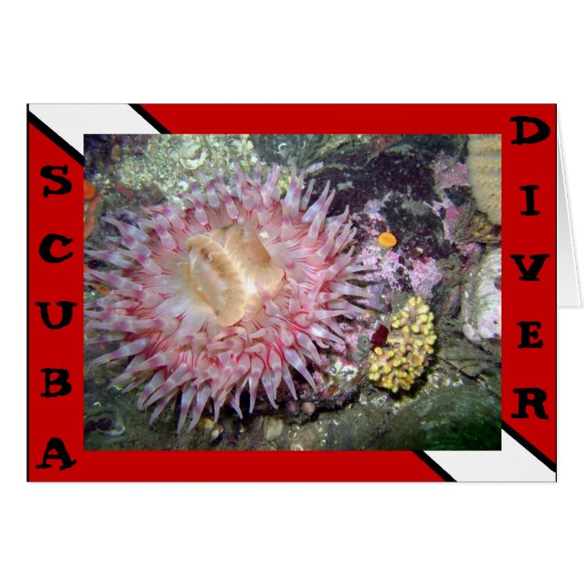 Scuba Diver Anemone Card (Vorderseite (Horizontal))