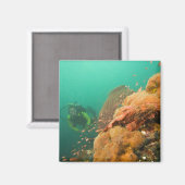Scuba Diver & Scorpionfish Scorpanopsis Magnet (Vorderseite/Rückseite)