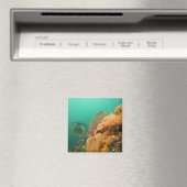Scuba Diver & Scorpionfish Scorpanopsis Magnet (In Situ (Geschirrspüler))