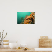 Scuba Diver & Scorpionfish Scorpanopsis Poster (Küche)