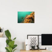Scuba Diver & Scorpionfish Scorpanopsis Poster (Heimbüro)
