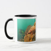 Scuba Diver & Scorpionfish Scorpanopsis Tasse (Links)