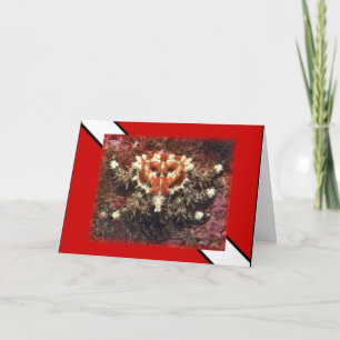 Scuba Diving Heart Crab - Karte