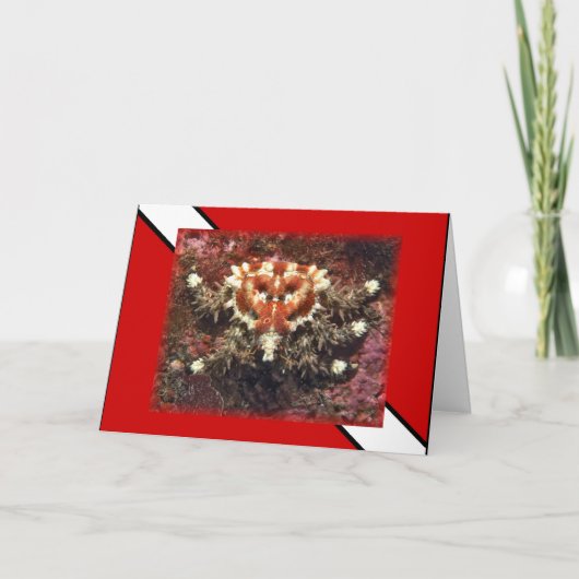Scuba Diving Heart Crab - Karte (Vorderseite)