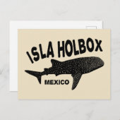 Scuba Diving with Whale Sharks Isla Holbox Mexiko Postkarte (Vorne/Hinten)