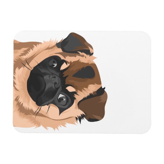 Scully Magnet (Horizontal)