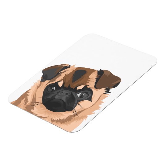 Scully Magnet (Linke Seite)