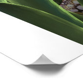 Scummy Fishtank Poster (Ecke)