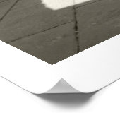 Scuole Palatine Poster (Ecke)