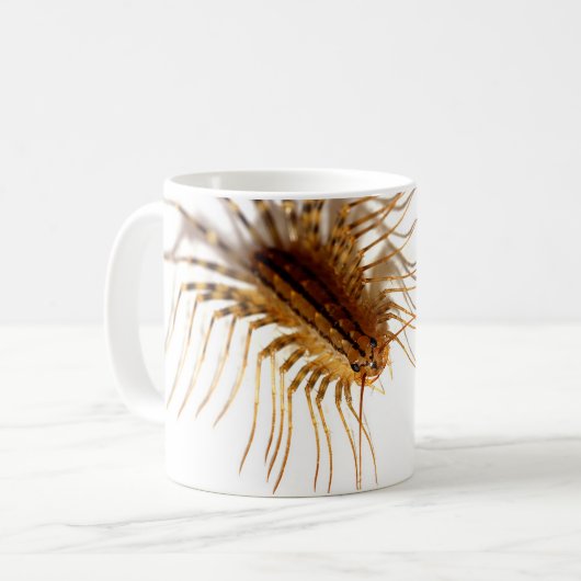 Scutigera coleoptrata kaffeetasse (Vorderseite Links)