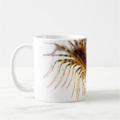 Scutigera coleoptrata kaffeetasse (Links)